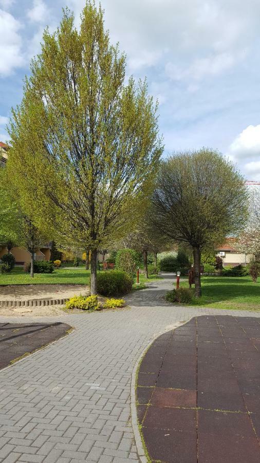 Liget Apartment, Terrace, Free Parking, Ac Budapest Exterior foto